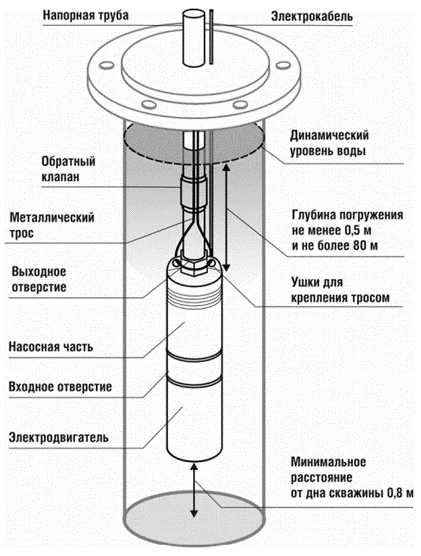Устройство Belamos 3TF Устройство Belamos 3TF