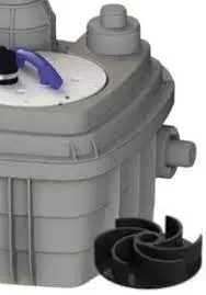 Без названия.jpg