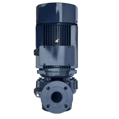 MAXPUMP F 50-160/55 MAXPUMP F 50-160/55