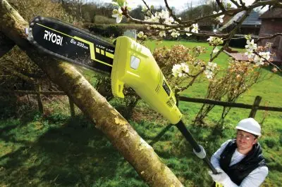Высоторез Ryobi RPP 750S электрический