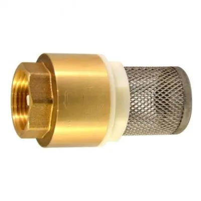 Обратный клапан с сеткой 1" Aqualink