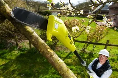 Высоторез Ryobi RPP 750S электрический