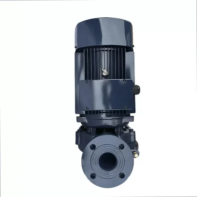 MAXPUMP IL 65-310/30 MAXPUMP IL 65-310/30